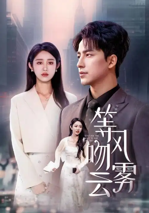 电视剧《与凤行》海报